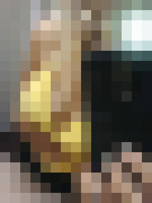 DANACHARLESTON Charleston, South Carolina Escort, , Verified Adult Service Provider, Companion in United States | 6