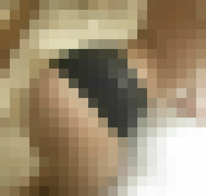 ChristyH Dallas, Texas Escort, , Verified Adult Service Provider, Companion in United States | 5