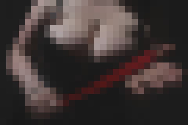 SensualMia New York Escort, Pornstar, BDSM, Couple, Massage, Verified Adult Service Provider, Companion in United States | 13