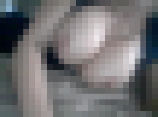 LannD Tampa, Florida Escort, , Verified Adult Service Provider, Companion in United States | 2