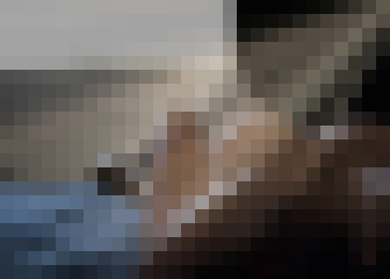 AddisonParker Scottsdale, Arizona Escort, DUO, Couple, Verified Adult Service Provider, Companion in United States | 11