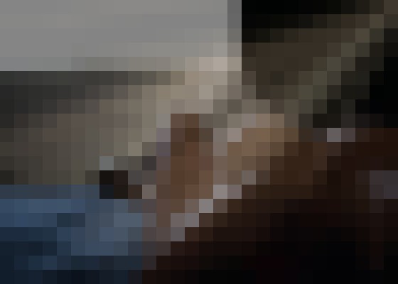 AddisonParker Scottsdale, Arizona Escort, DUO, Couple, Verified Adult Service Provider, Companion in United States | 13
