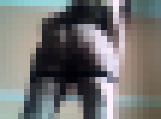 Ginger Luv Oakland, California Escort, , Verified Adult Service Provider, Companion in United States | 9