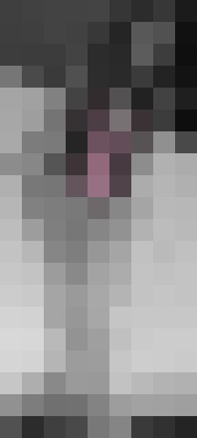Vivian Reed Houston, Texas Escort, Pornstar, BDSM, DUO, Couple, Massage, Verified Adult Service Provider, Companion in United States | 5