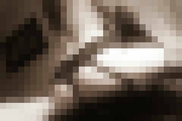 Vivian Reed Houston, Texas Escort, Pornstar, BDSM, DUO, Couple, Massage, Verified Adult Service Provider, Companion in United States | 8