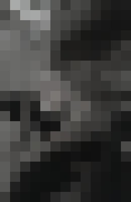 Vivian Reed Houston, Texas Escort, Pornstar, BDSM, DUO, Couple, Massage, Verified Adult Service Provider, Companion in United States | 14