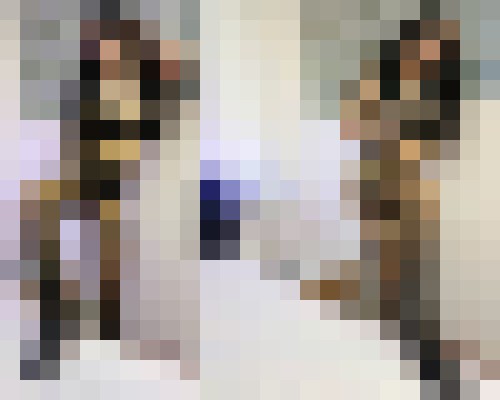 Prane Pattaya Escort, Pornstar, BDSM, Couple, Verified Adult Service Provider, Companion in Thailand | 17