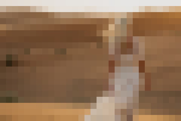 Dakini Farrah Washington DC Escort, , Verified Adult Service Provider, Companion in United States | 5
