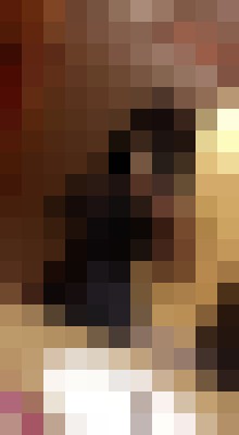 Sexy Dana Las Vegas, Nevada Escort, , Verified Adult Service Provider, Companion in United States | 3