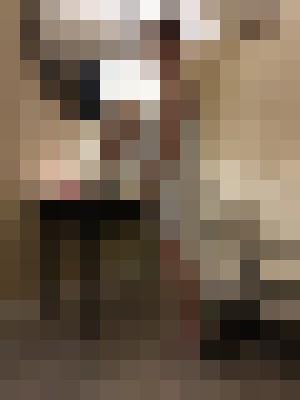 VIPGinger Fort Lauderdale, Florida Escort, , Verified Adult Service Provider, Companion in United States | 14