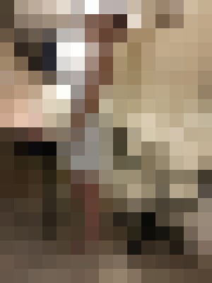 VIPGinger Fort Lauderdale, Florida Escort, , Verified Adult Service Provider, Companion in United States | 18