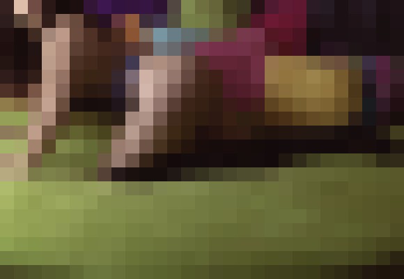 MeetLola Tampa, Florida Escort, , Verified Adult Service Provider, Companion in United States | 7