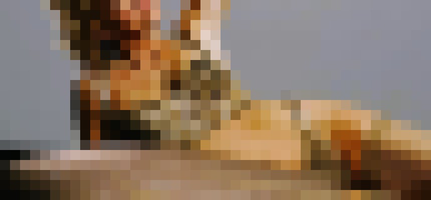Sherri Flowers Las Vegas, Nevada Escort, , Verified Adult Service Provider, Companion in United States | 5
