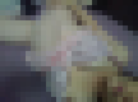 MMadison22 San Francisco, California Escort, , Verified Adult Service Provider, Companion in United States | 6