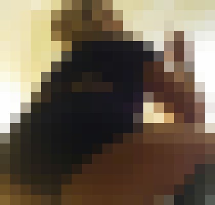 Carol Fantasies Fall River, Massachusetts Escort, , Verified Adult Service Provider, Companion in United States | 13