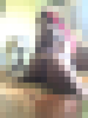 Addeson Los Angeles, California Escort, , Verified Adult Service Provider, Companion in United States | 3