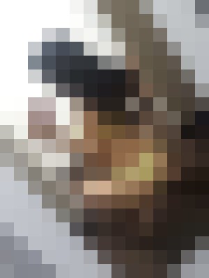 OunceOfSahara Los Angeles, California Escort, , Verified Adult Service Provider, Companion in United States | 4