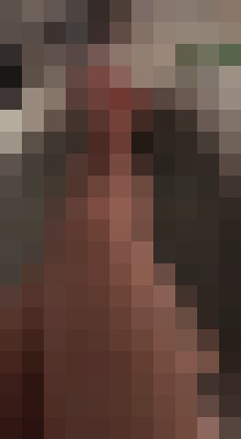 Sweet Annette Charlotte, North Carolina Escort, , Verified Adult Service Provider, Companion in United States | 2