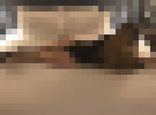 Jordan Skyes Boston, Massachusetts Escort, , Verified Adult Service Provider, Companion in United States | 4
