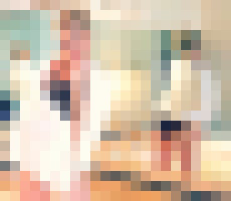 AlexissLuff Reno, Nevada Escort, , Verified Adult Service Provider, Companion in United States | 11