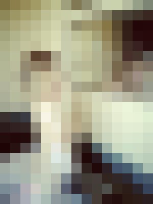 AlexissLuff Reno, Nevada Escort, , Verified Adult Service Provider, Companion in United States | 15