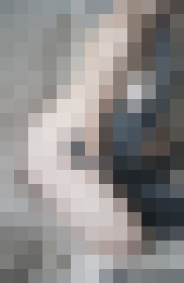 Amie Petite Seattle, Washington Escort, DUO, Verified Adult Service Provider, Companion in United States | 4