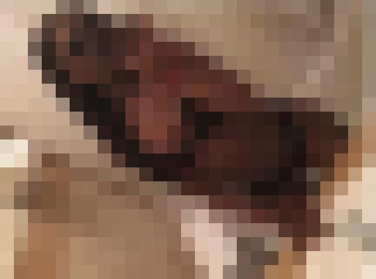 Jhazzy Tucson, Arizona Escort, , Verified Adult Service Provider, Companion in United States | 14