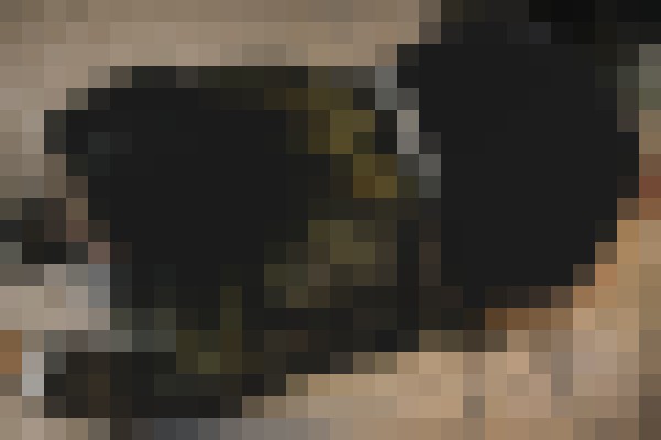 Nicki Visage Melbourne Escort, BDSM, Verified Adult Service Provider, Companion in Australia | 7