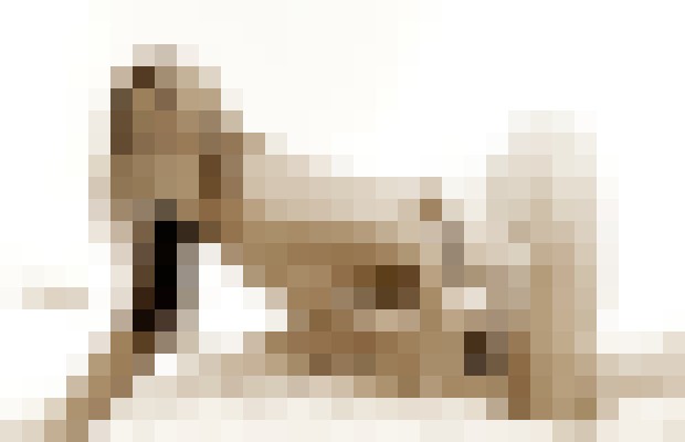 blondepanthera Warsaw Escort, DUO, Verified Adult Service Provider, Companion in Poland | 10