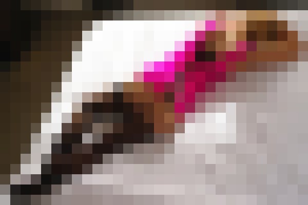 Riley Davis Charlotte, North Carolina Escort, DUO, Couple, Verified Adult Service Provider, Companion in United States | 8