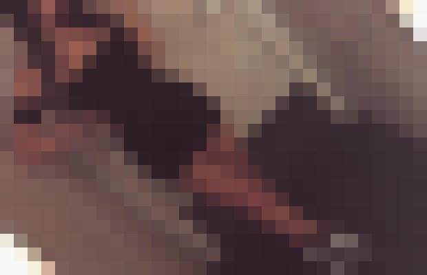 RelaxWithAriel Houston, Texas Escort, DUO, Massage, Verified Adult Service Provider, Companion in United States | 3