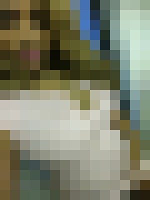 Jasmine pastel Las Vegas, Nevada Escort, Pornstar, Verified Adult Service Provider, Companion in United States | 7