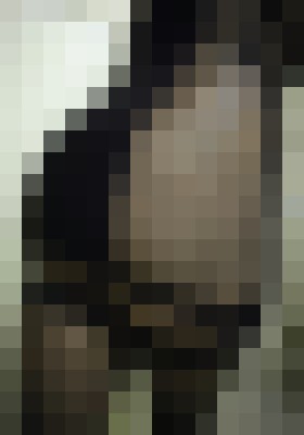 Jasmine pastel Las Vegas, Nevada Escort, Pornstar, Verified Adult Service Provider, Companion in United States | 11