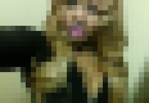 Jasmine pastel Las Vegas, Nevada Escort, Pornstar, Verified Adult Service Provider, Companion in United States | 13