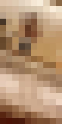 diamond7 Denver, Colorado Escort, BDSM, Couple, Verified Adult Service Provider, Companion in United States | 12