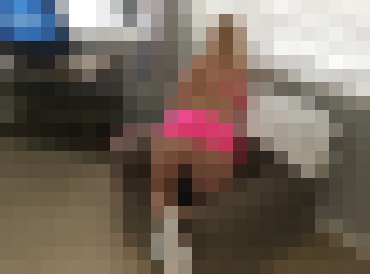 Sexy Carolina Mom Savannah, Georgia Escort, Pornstar, BDSM, Massage, Verified Adult Service Provider, Companion in United States | 5