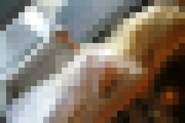 Charlotte Of Vegas Las Vegas, Nevada Escort, , Verified Adult Service Provider, Companion in United States | 11
