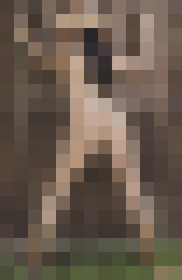 Maju New York Escort, , Verified Adult Service Provider, Companion in United States | 5