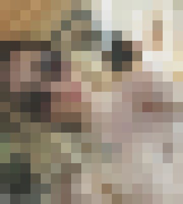 Lady Kellie Houston, Texas Escort, , Verified Adult Service Provider, Companion in United States | 2