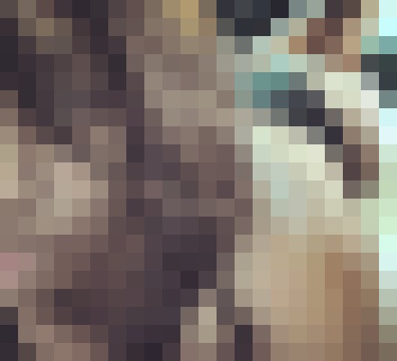 Luxury GFE Charlotte, North Carolina Escort, , Verified Adult Service Provider, Companion in United States | 3