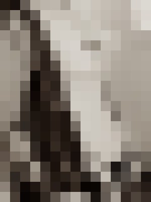 Alex Joy Denver, Colorado Escort, , Verified Adult Service Provider, Companion in United States | 3