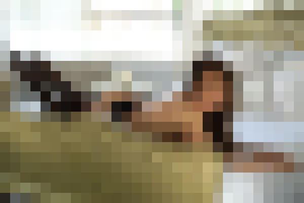 Anna12 New York Escort, , Verified Adult Service Provider, Companion in United States | 8