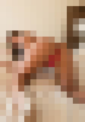Goddess Jezebel Charleston, South Carolina Escort, BDSM, DUO, Couple, Verified Adult Service Provider, Companion in United States | 12