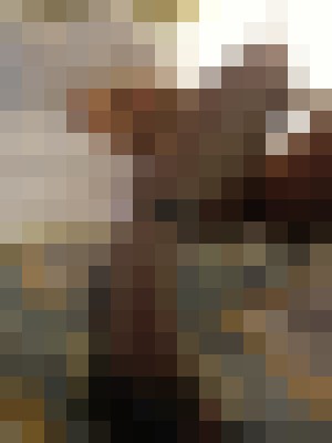 XXX Chrystal Lite Las Vegas, Nevada Escort, Pornstar, Verified Adult Service Provider, Companion in United States | 7