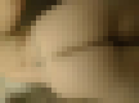 Meggiegirl Reno, Nevada Escort, Pornstar, Verified Adult Service Provider, Companion in United States | 3