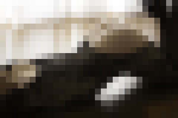 Olivia LaRue Reno, Nevada Escort, , Verified Adult Service Provider, Companion in United States | 3