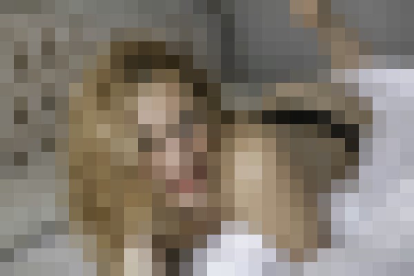 Olivia LaRue Reno, Nevada Escort, , Verified Adult Service Provider, Companion in United States | 4