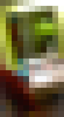 AlexusKakes Los Angeles, California Escort, Pornstar, Verified Adult Service Provider, Companion in United States | 11