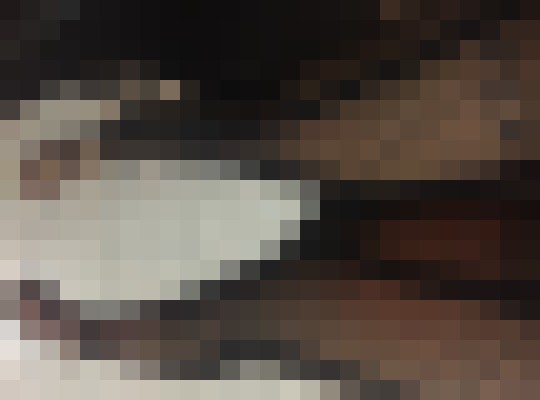 Shantelle Mississauga Escort, Pornstar, Verified Adult Service Provider, Companion in Canada | 6