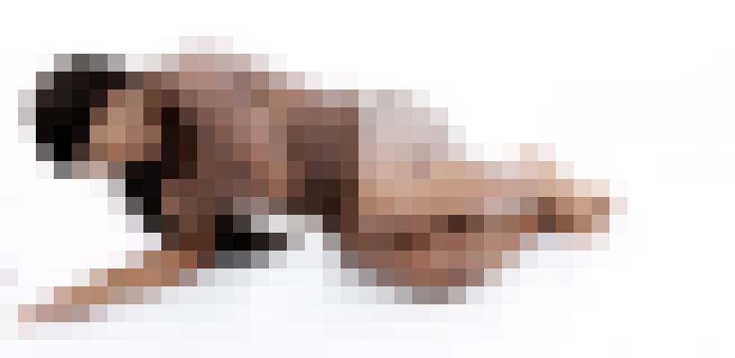 Tsbarbie27 Dallas, Texas Escort, BDSM, DUO, Couple, Massage, Verified Adult Service Provider, Companion in United States | 13